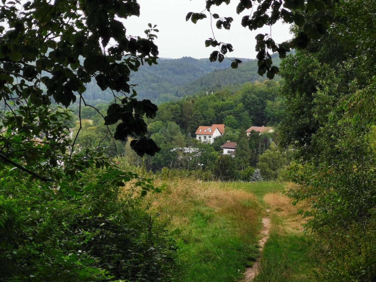Apartament Haus Froehlich Michelstadt Zewnętrze zdjęcie